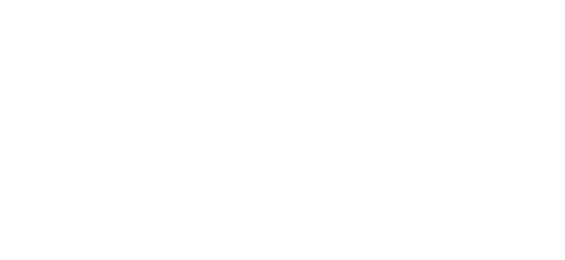 ویزا logo